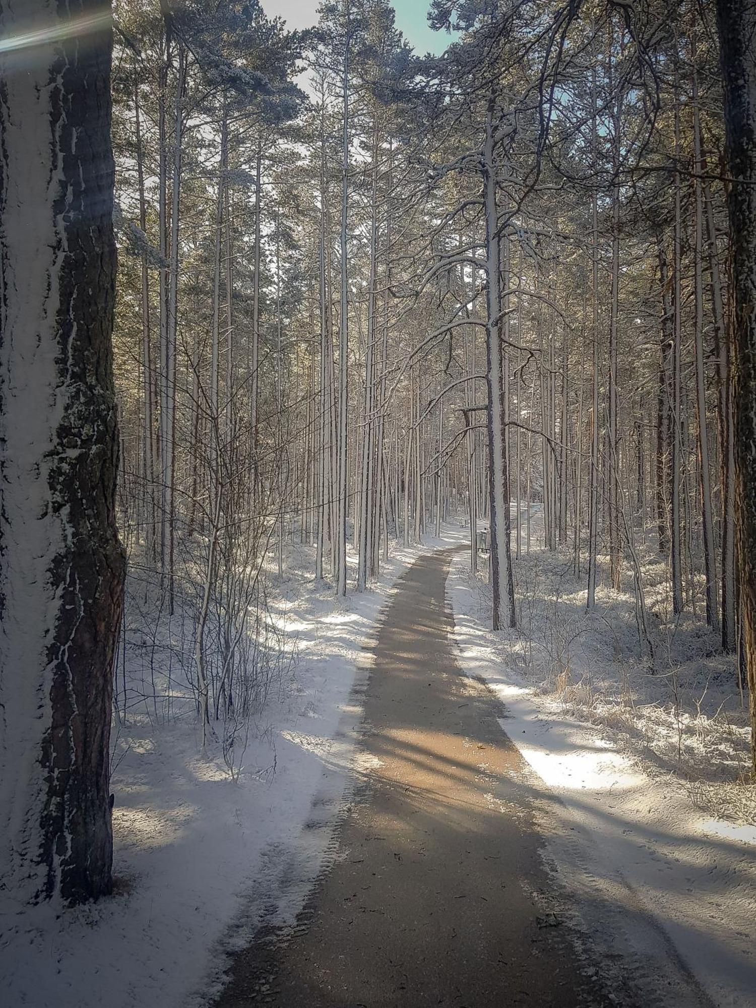 Lauku Iela 25 Apartamento Jūrkalne Exterior foto